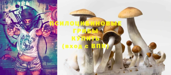 МДМА Рославль