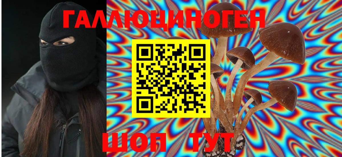Ахтубинск  Псилоцибиновые грибы GOLDEN TEACHER  Вход с VPN 