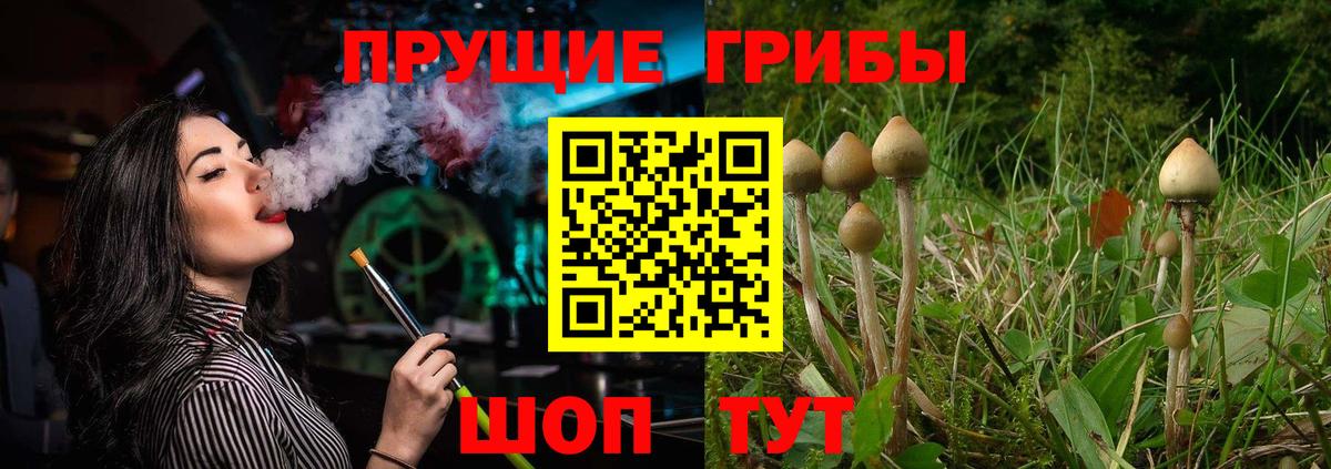 Меф  МАРИХУАНА  АМФ  Ляпка  Ахтубинск  Вход с VPN 