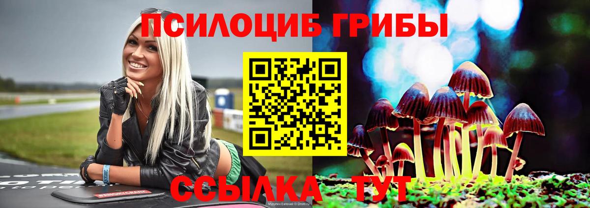 Галлюциногенные грибы Cubensis Ахтубинск