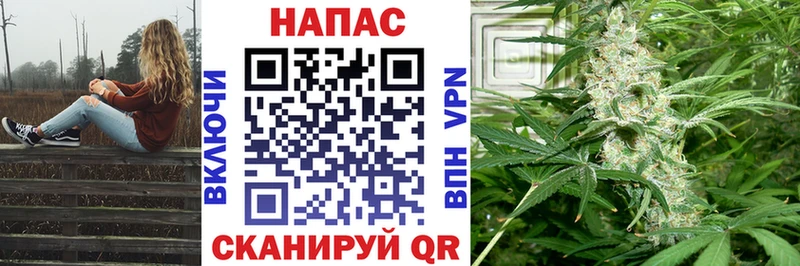 Бошки Шишки тримм  Ахтубинск 